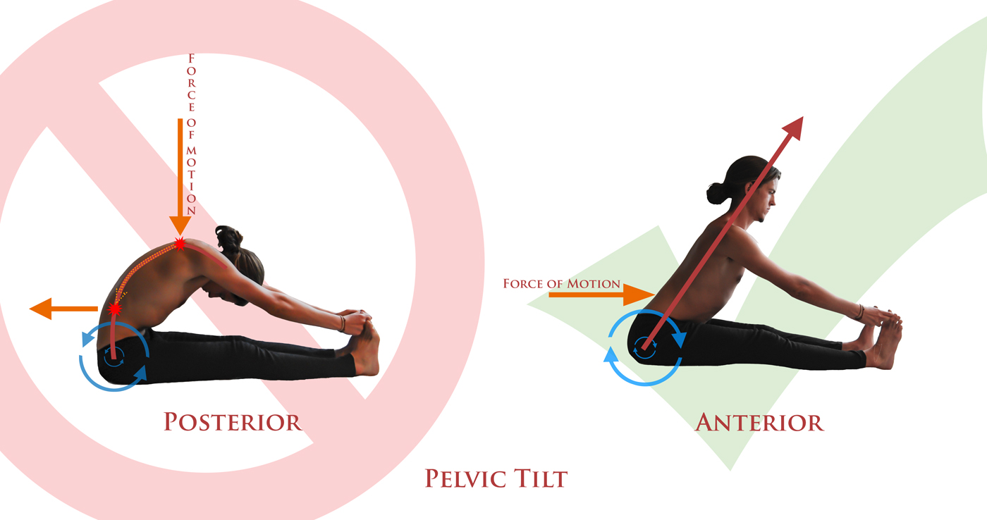 Seated forward fold stretch